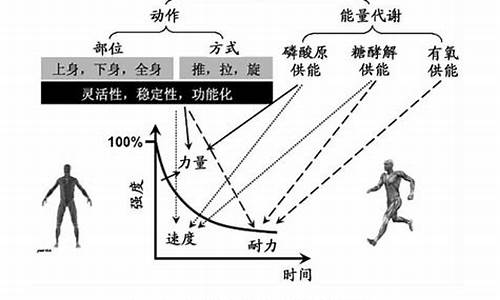 体育本质功能有哪些功能_体育本质功能有哪些功能呢