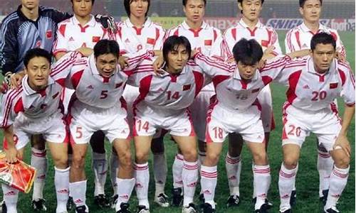 2002年世界杯 日本_2002年世界杯日本队成绩